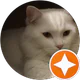 SEHER AKDEMİR profil fotoğrafı