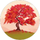 Elif S. profil fotoğrafı