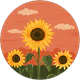 Semanur Akkaya profil fotoğrafı