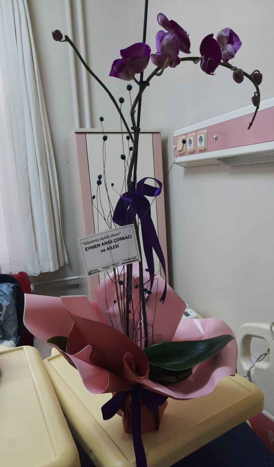 orchid Floristry