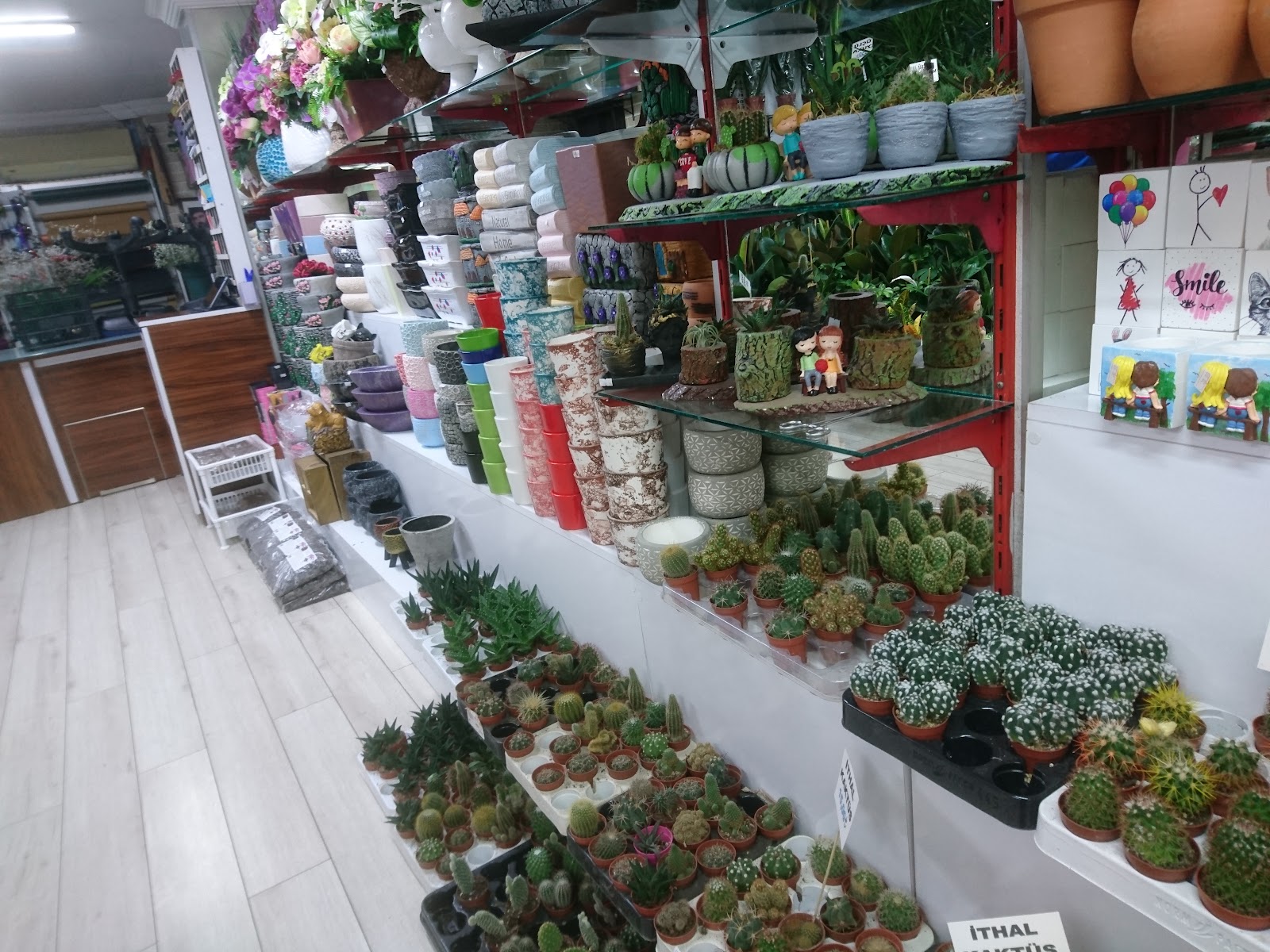 orchid Floristry