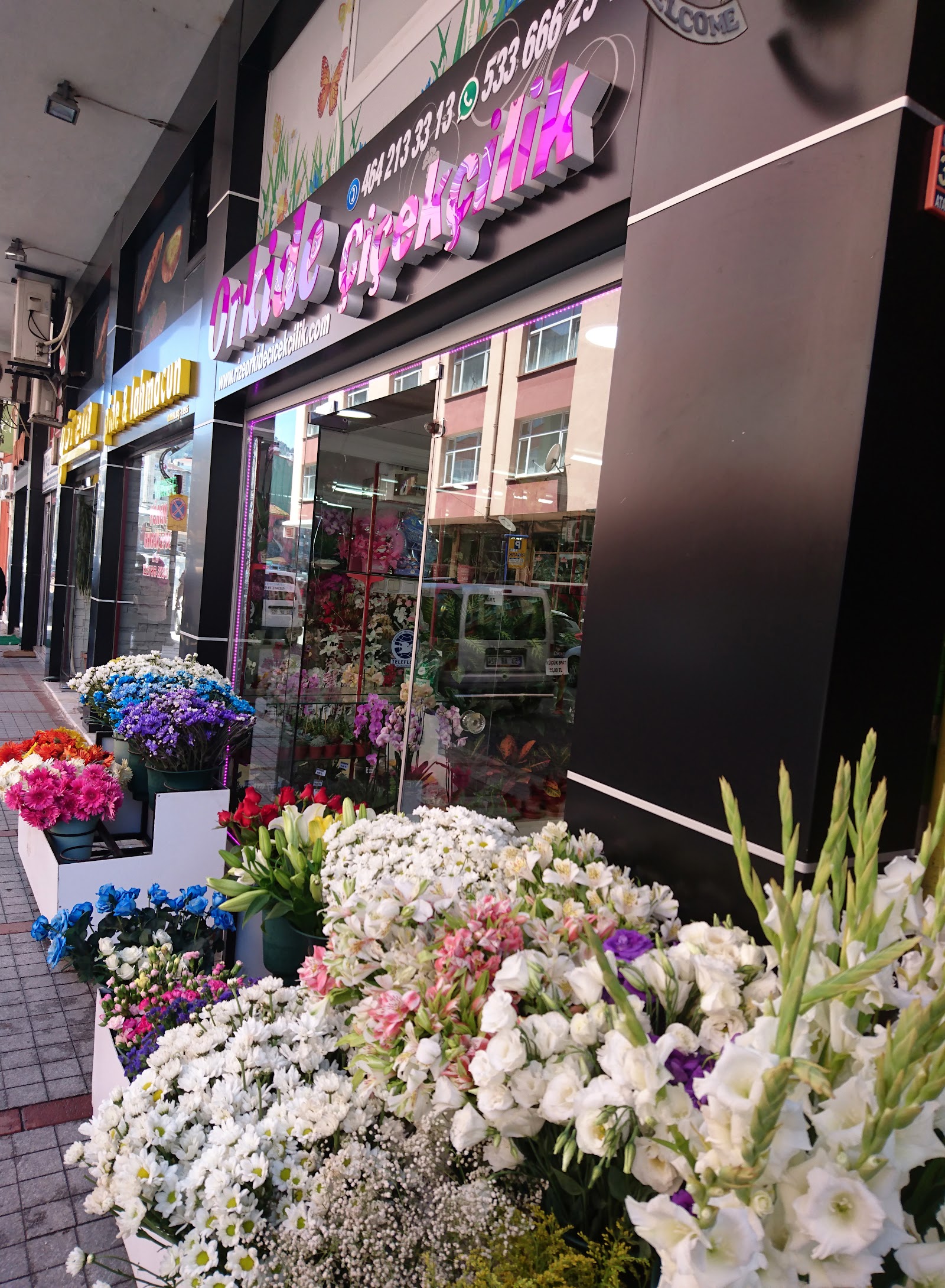 Orchid Floristry kır düğünü mekanı — Merkez