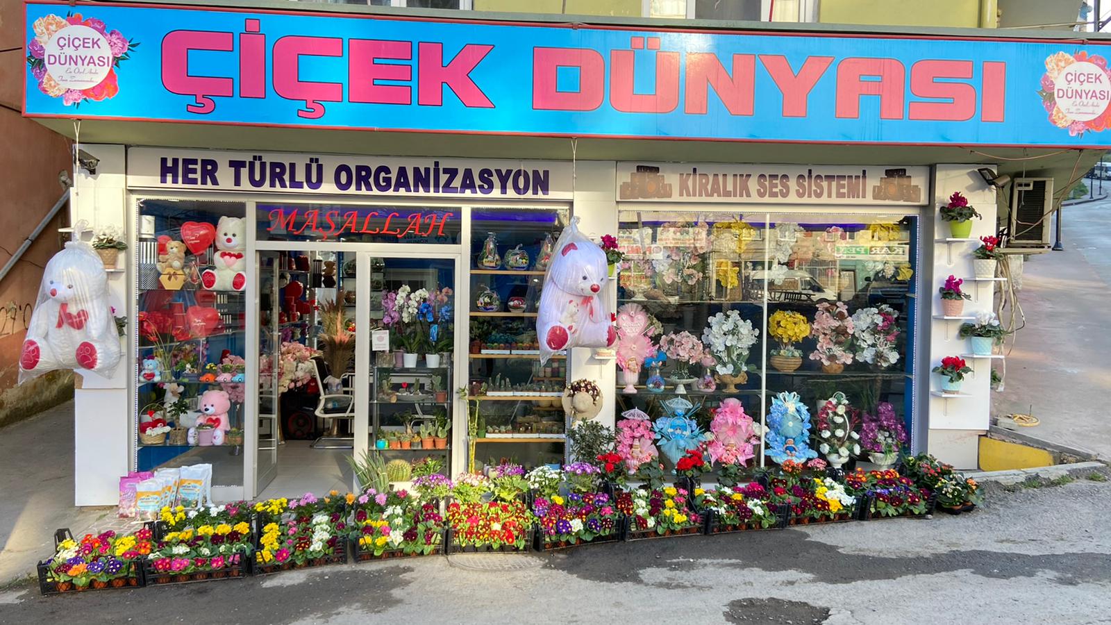 Rize Çiçek - ÇİÇEK DÜNYASI
