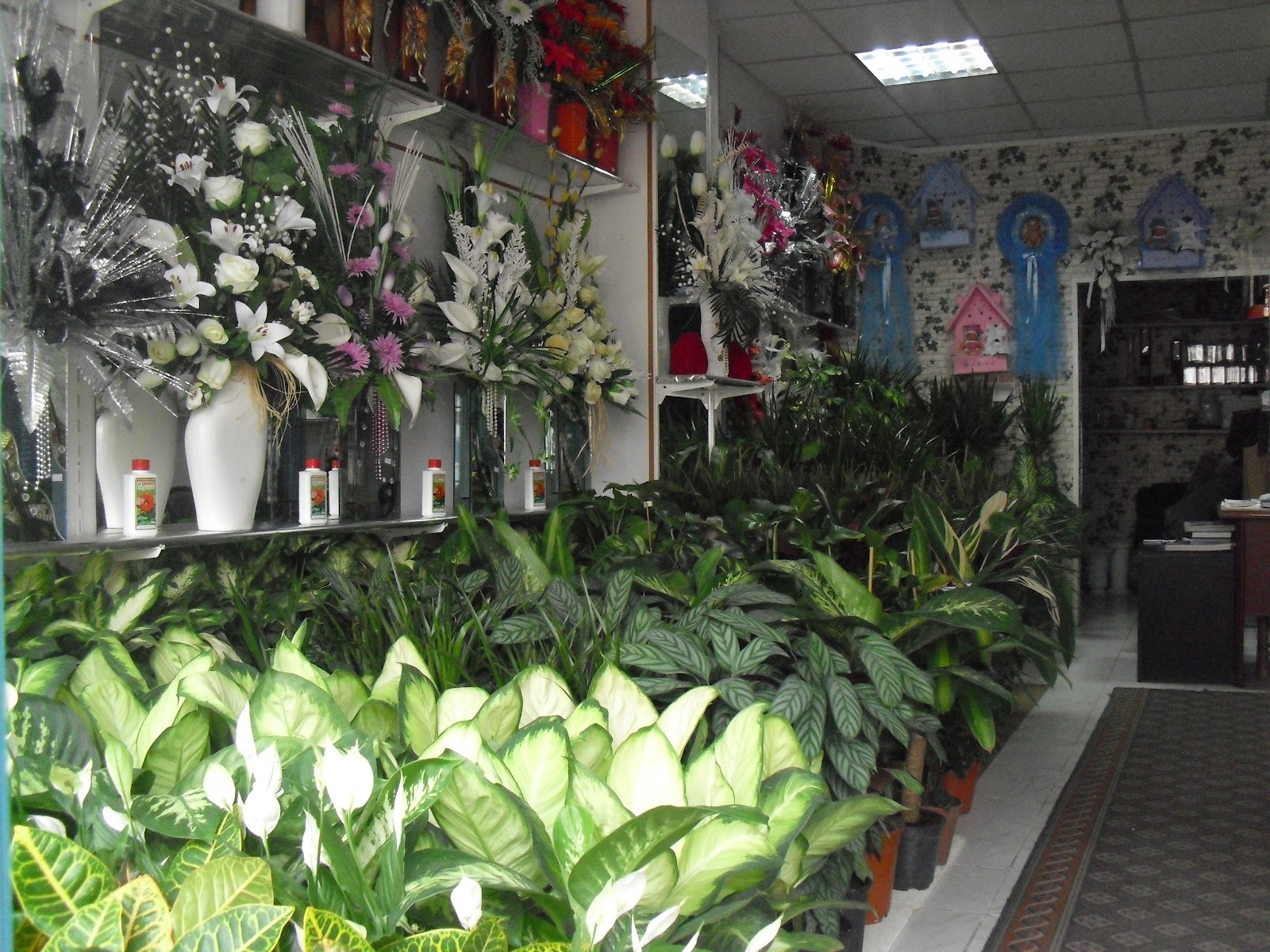 Yıldız Çiçekçilik Rize